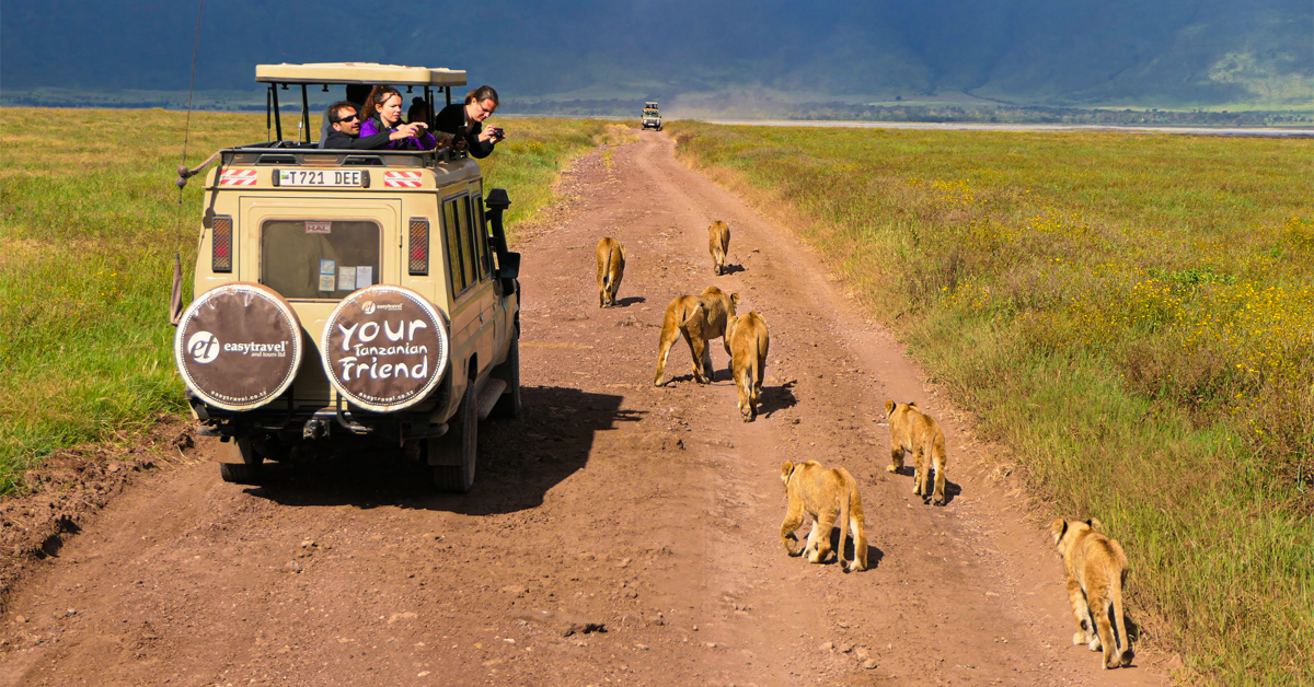 Tourists on a Game Drive at Ngorongoro Crater, Tanzania