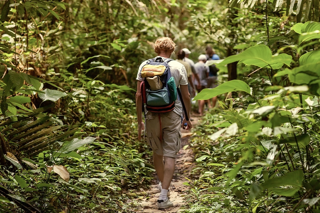 Touristen wandern durch das West Kilimanjaro Waldreservat, Tansania