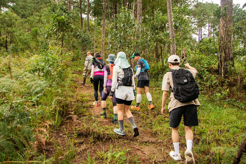 3 Days Gombe Stream Chimpanzee Trekking
