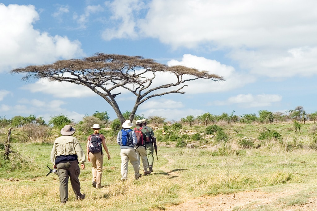 坦桑尼亚米库米国家公园徒步旅行的游客