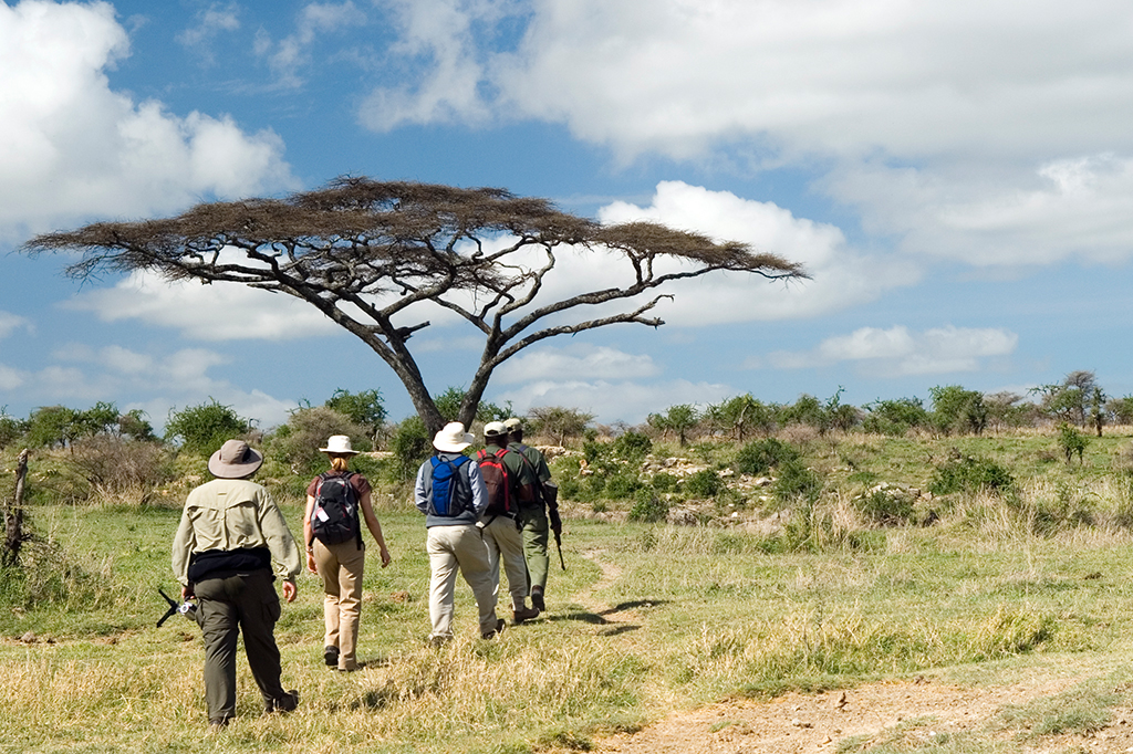 Touristen auf geführter Nashorn-Tracking im Mkomazi Nationalpark Tansania 1 Touristen auf geführter Nashorn-Trackingtour im Mkomazi-Nationalpark, Tansania
