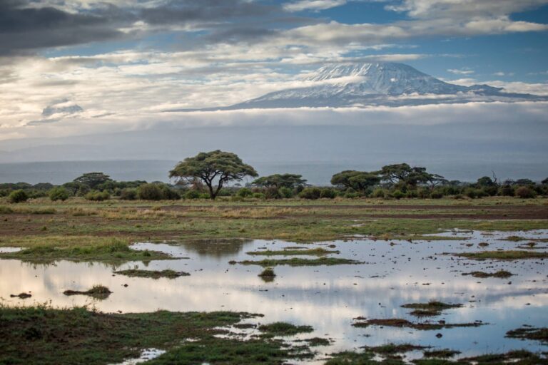 Vista del monte Kilimanjaro desde el Kilimanjaro occidental