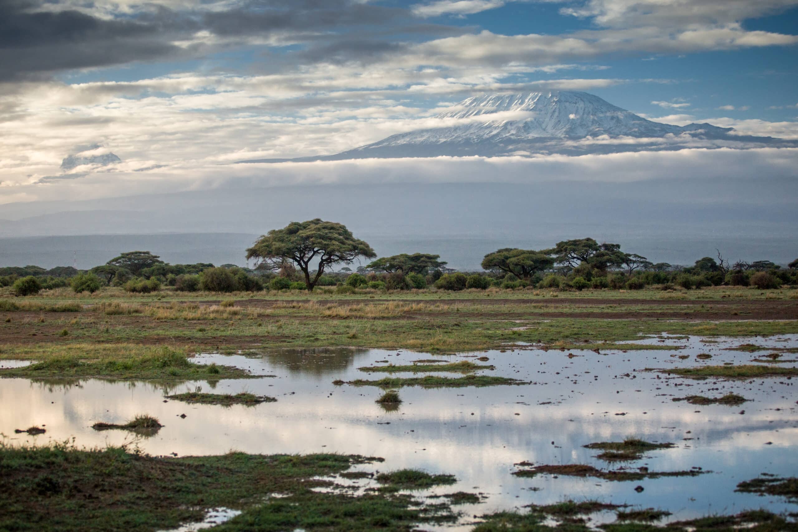 View of Mount Kilimanjaro from West Kilimanjaro