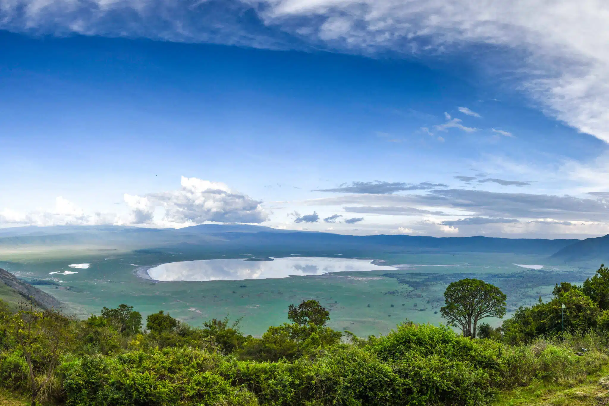 NGORONGORO (ンゴロンゴロ) ラインハルト 　アフリカ　写真集　洋書 NGORONGORO (ンゴロンゴロ) ラインハルト アフリカ 写真集 洋書