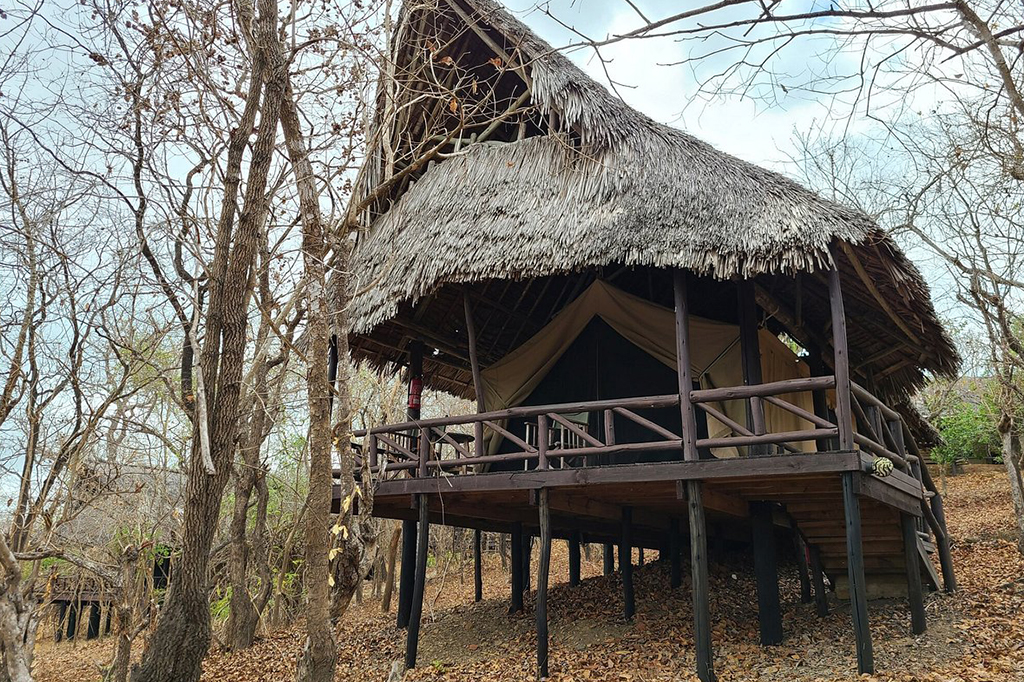 Палаточный лагерь Vuma Hills в национальном парке Микуми, Танзания