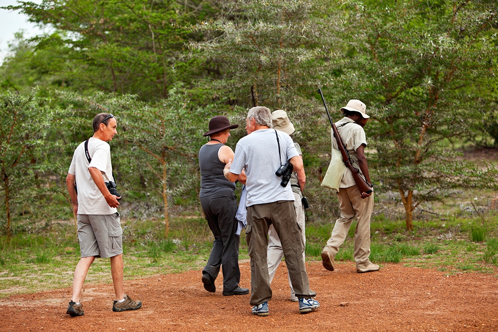 Walking safari at tarangire national park, tanzania