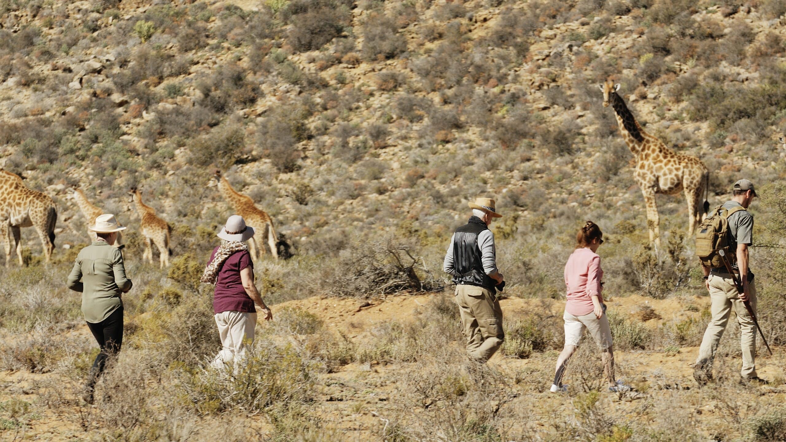 walking safari at Mkomazi National Park
