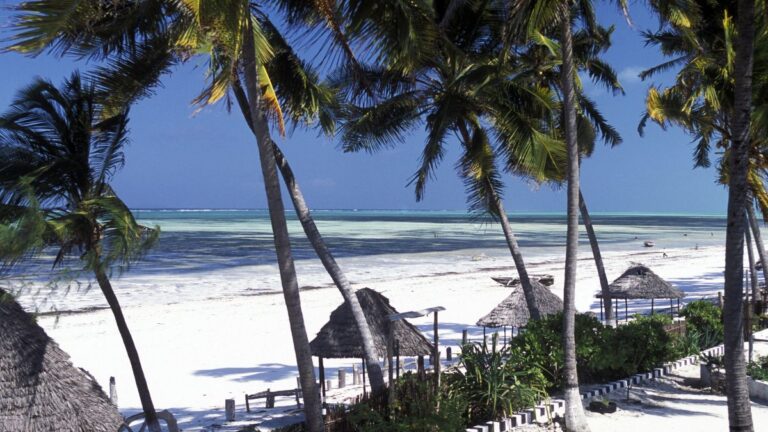 Une plage tropicale avec du sable blanc, une eau turquoise et de grands palmiers. Des parasols en chaume bordent le rivage, et le ciel est d'un bleu éclatant parsemé de nuages clairsemés. - Easy Travel Tanzania