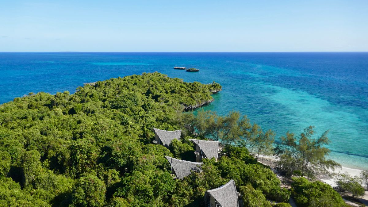 Aerial view of a lush green island surrounded by vibrant blue ocean waters. Thatched-roof structures peek through the dense foliage near a sandy beach. Coral reefs are visible beneath the clear water, extending from the shore into the sea. - Easy Travel Tanzania