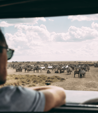 Tanzania - wildebeest migration game drives in serengeti easy travel tanzania 1 - migration safari