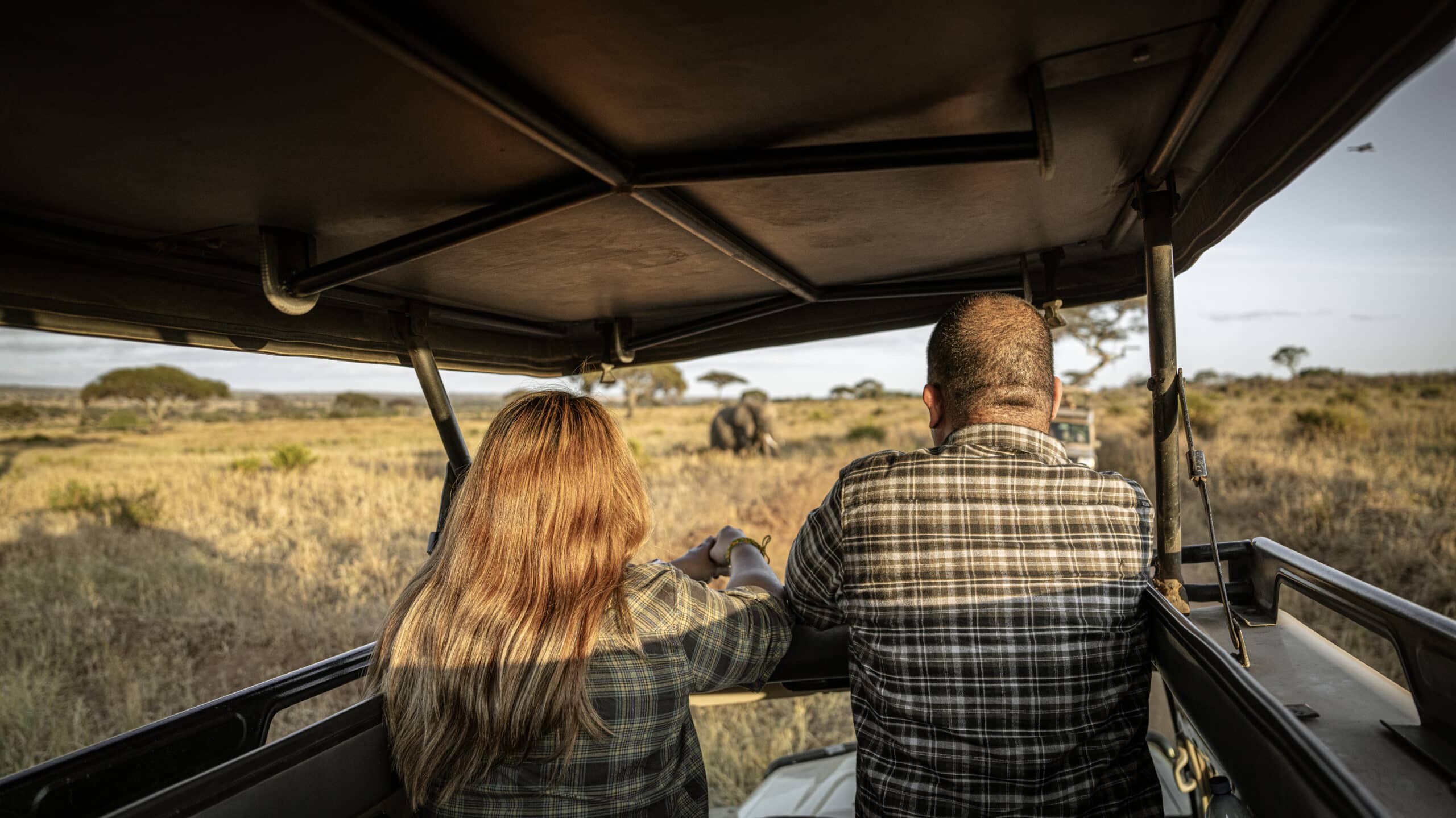 The best things to do in Tarangire national park: Witness herds of elephants roaming in the park's savannah.