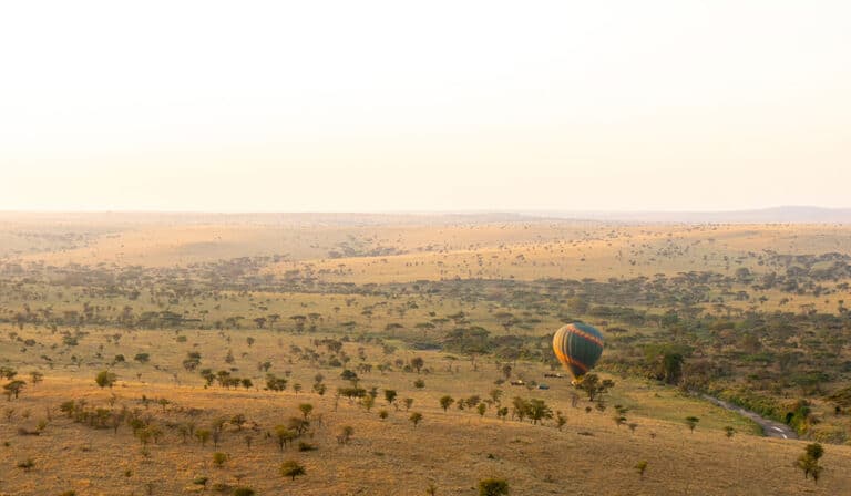 Guía de safari en globo aerostático de Serengeti