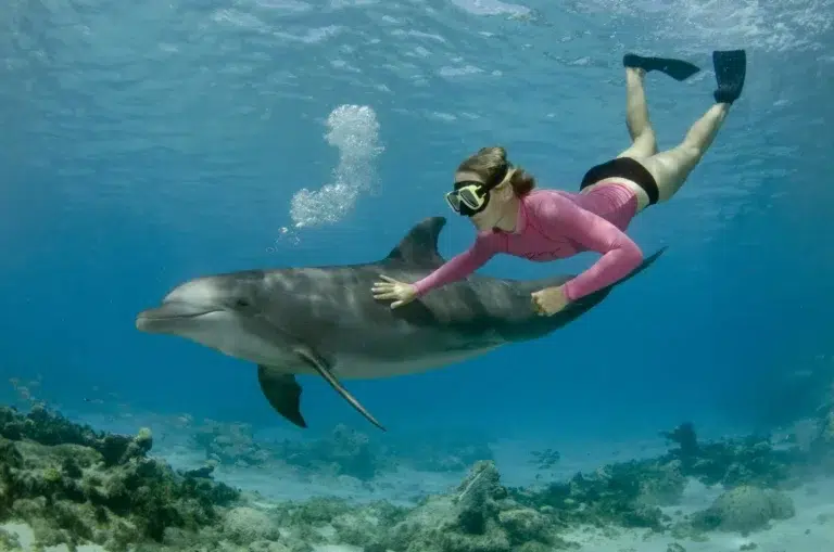 Eine Person schnorchelt mit einem Delfin im klaren blauen Wasser nahe der Insel Bawe in Tansania. Korallenriffe sind darunter zu sehen.