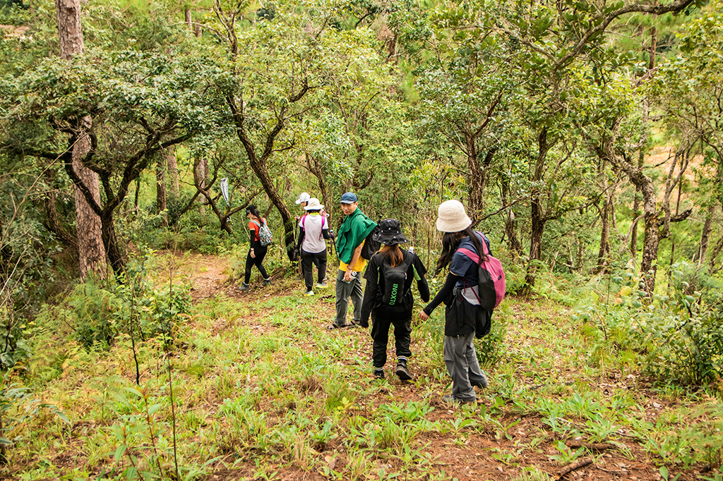 Tanzania - a group of tourists on a nature walk in arusha national park tanzania - arusha national park tours and activities 2025