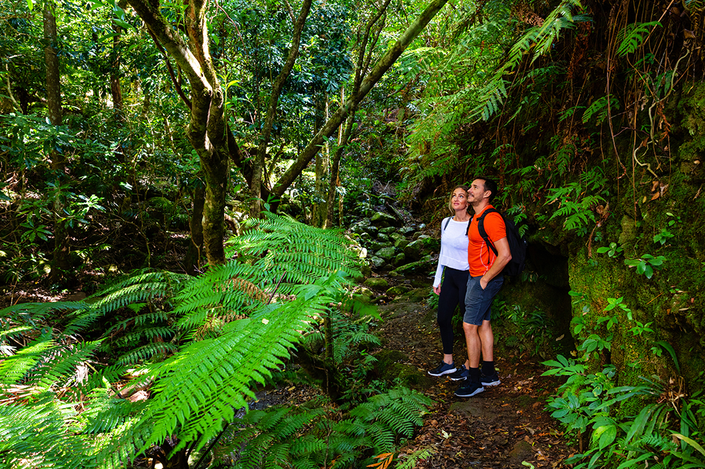 Couple on forest walk at gombe, tanzania