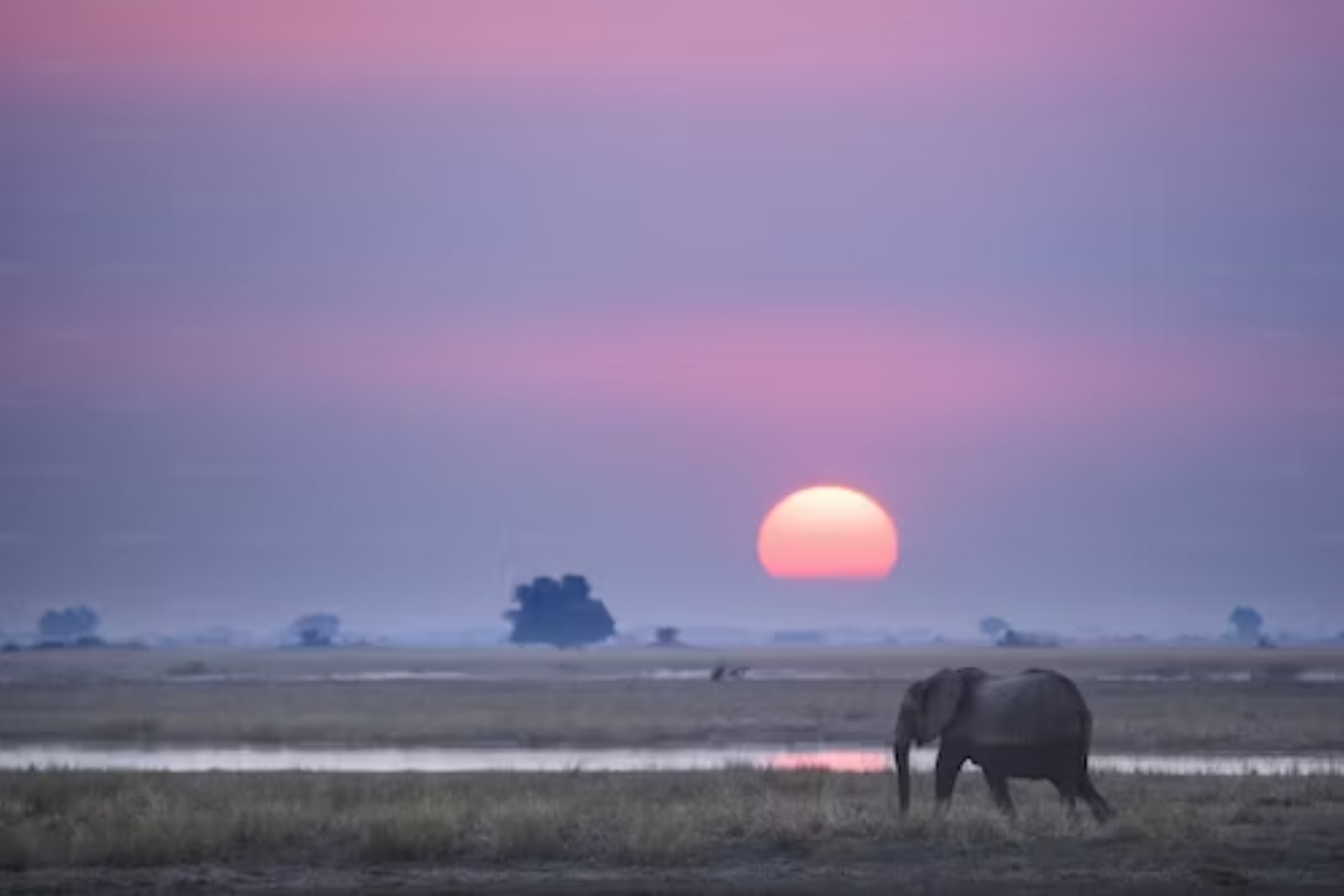Elefante en el Parque Nacional de Arusha