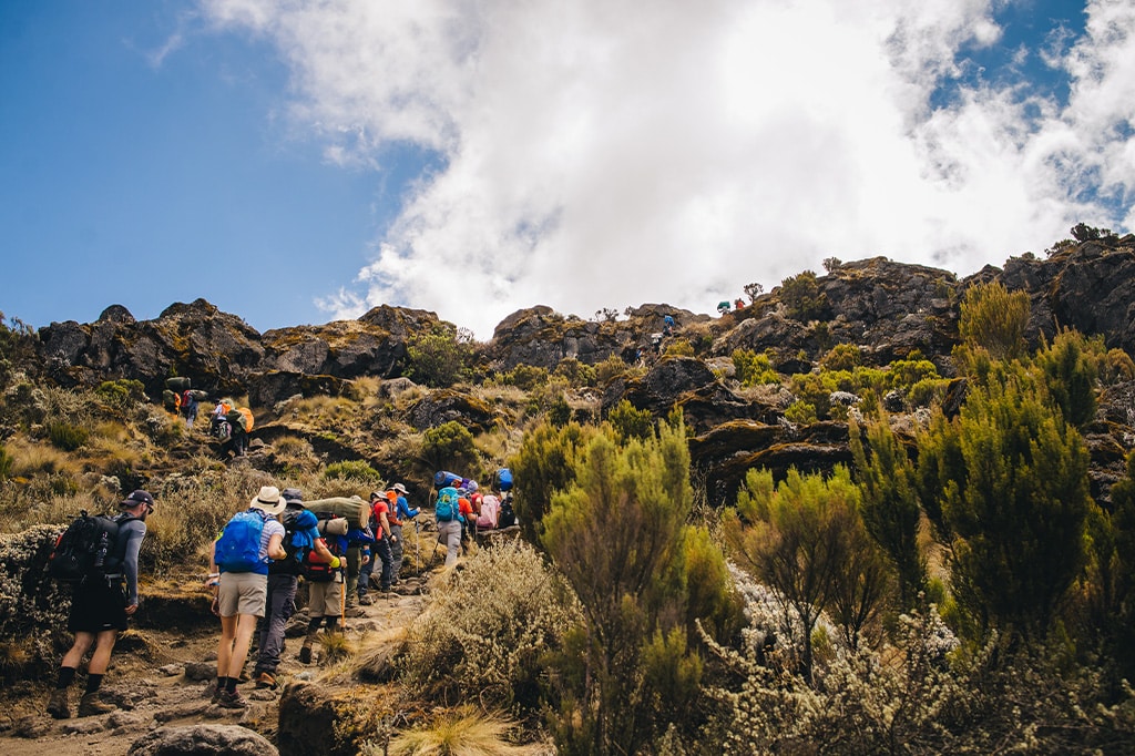 Wanderer wandern durch die felsigen Pfade des Kilimandscharo, Tansania