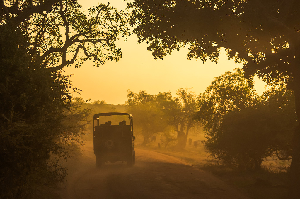 Night game drive in arusha national park, tanzania