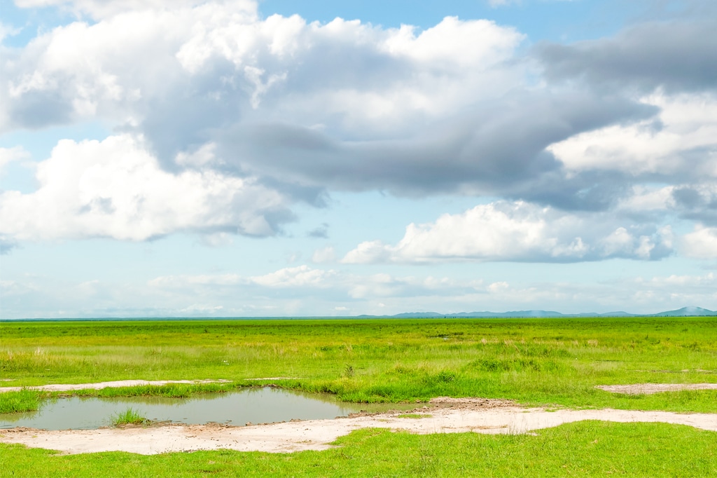 Die Graslandebenen des Katavi-Nationalparks, Tansania