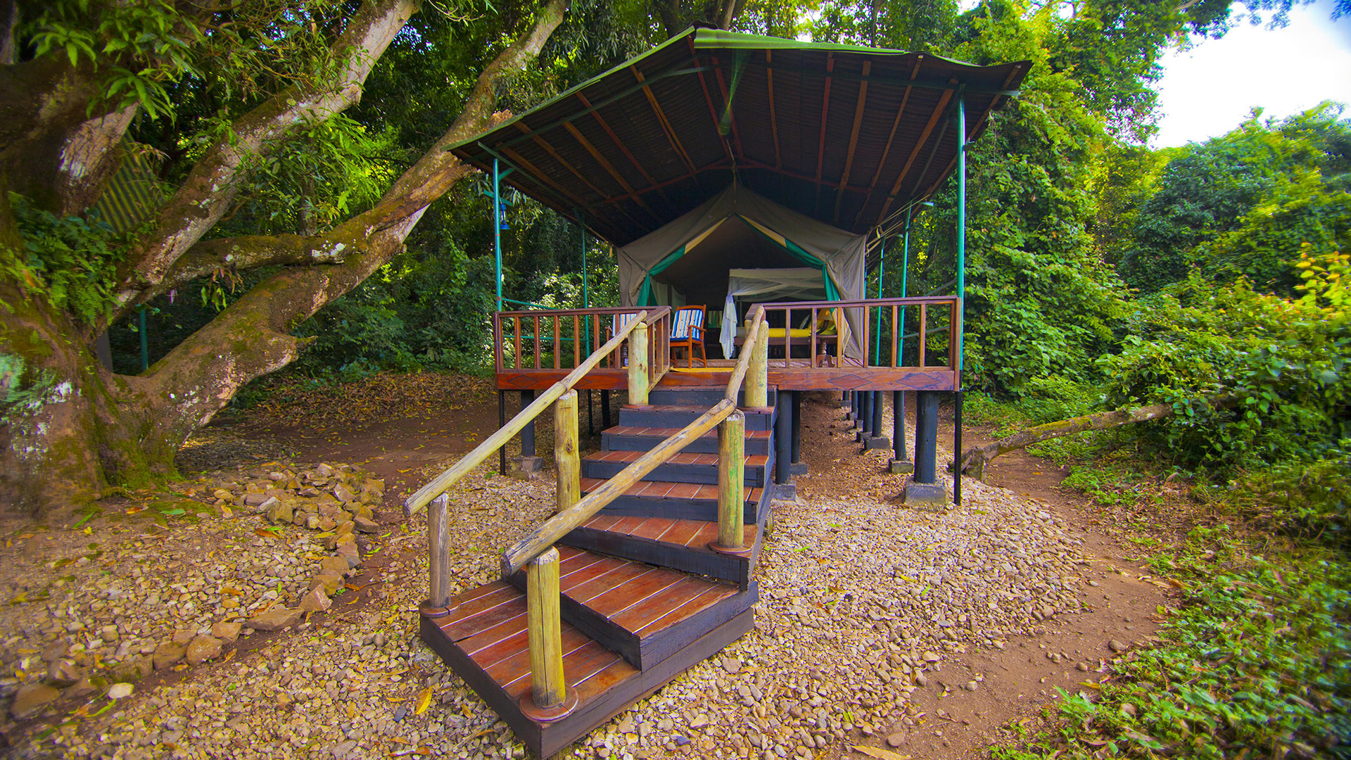 Gombe Forest Lodge in Gombe Stream National Park, Kigoma