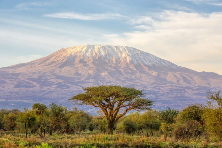 The classic view of Mt Kilimanjaro in Tanzania from Amboseli in Kenya
