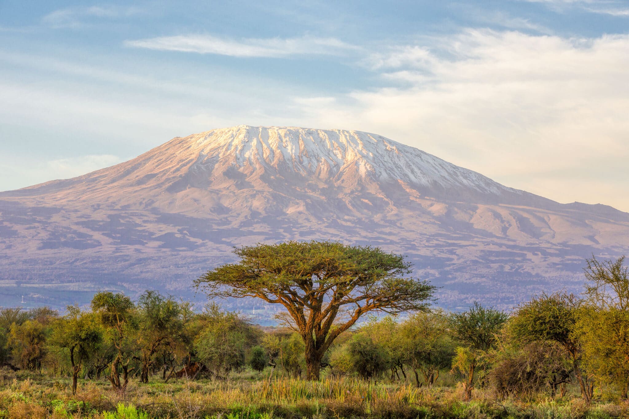 Классический вид на гору Килиманджаро в Танзании из Амбосели в Кении