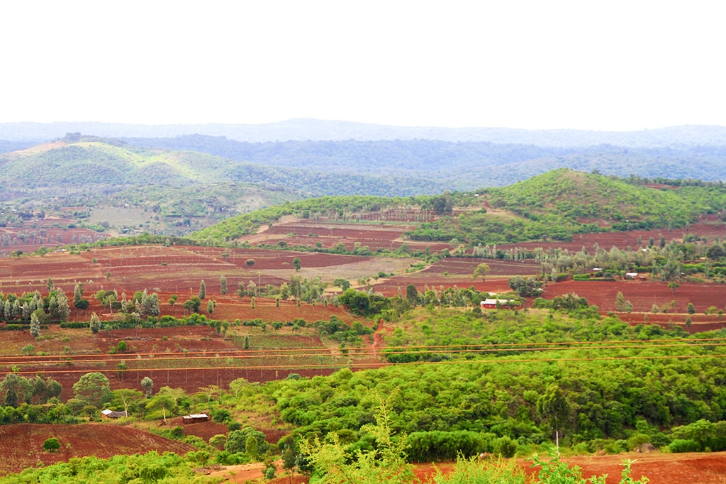 Het landbouwlandschap van Karatu Tanzania 1