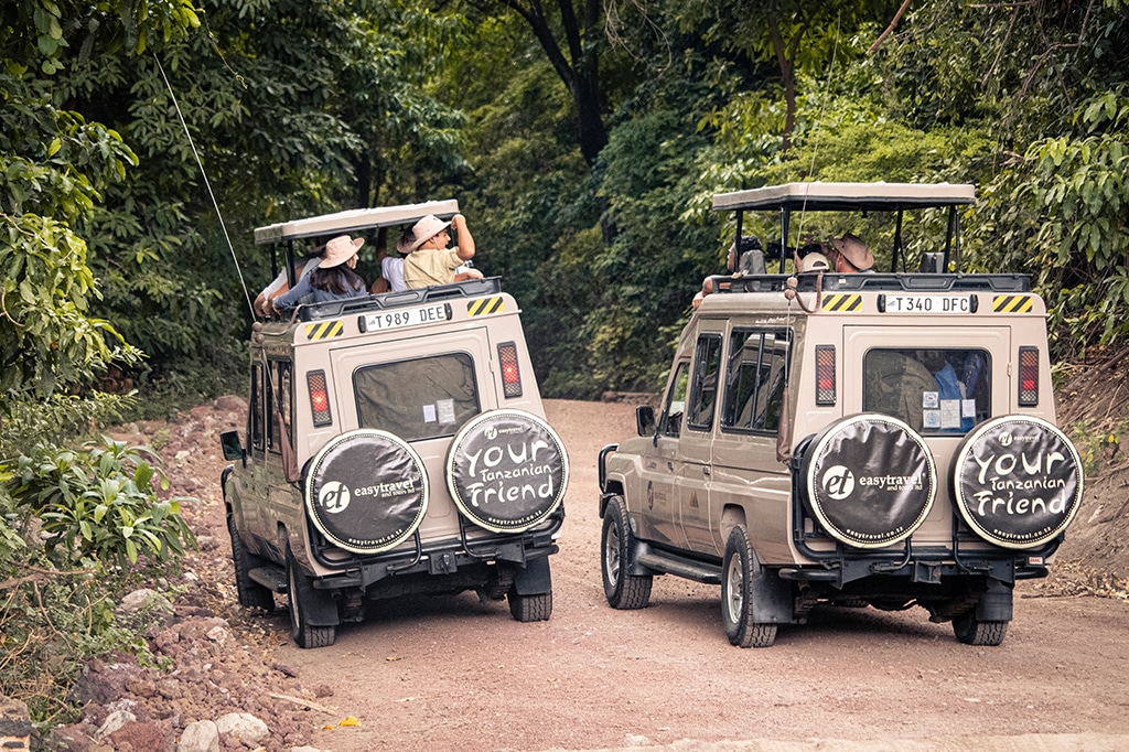 两辆敞篷游猎车行驶在阿鲁沙国家公园附近一条绿树环绕的土路上。乘客们戴着帽子，坐在车里四处张望。备用轮胎上印着“你的坦桑尼亚朋友”的字样，以及一家游猎公司的标志。——坦桑尼亚轻松旅行