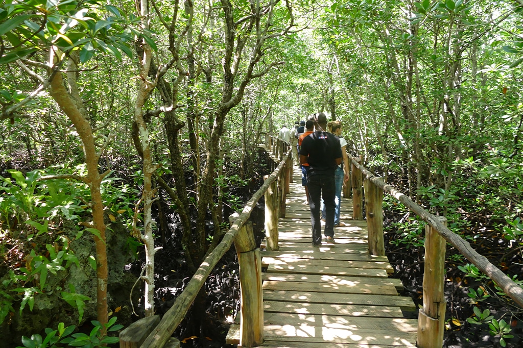 Touristen auf einer Mangrovenpromenade im Jozani Chwaka Bay Nationalpark, Sansibar, Tansania