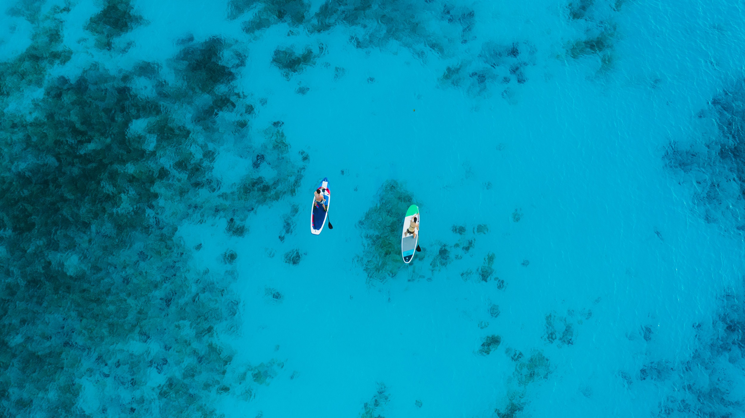 Aerial view of paddle boarding in Jambiani Beach Zanzibar
