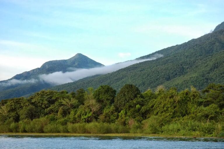 gombe stream national park