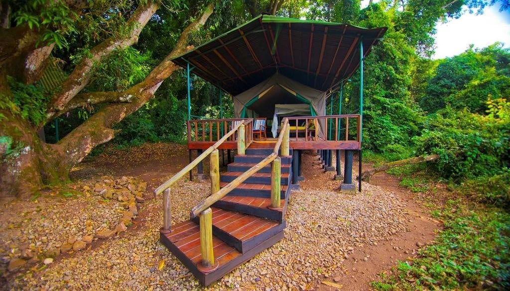 Gombe Forest Lodge in het Gombe Stream National Park, Kigoma