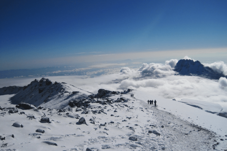 Dach des Kilimandscharo-Nationalparks