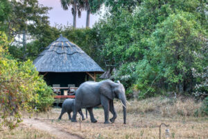 Var ska man bo i Katavi nationalpark - boendealternativ