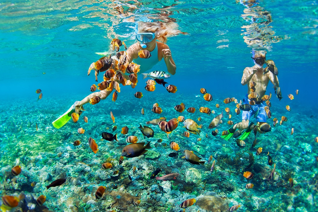 Young couple snorkeling at Mnemba Island, Tanzania