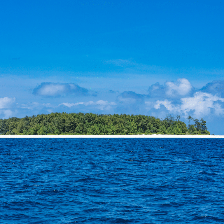 Mnemba island