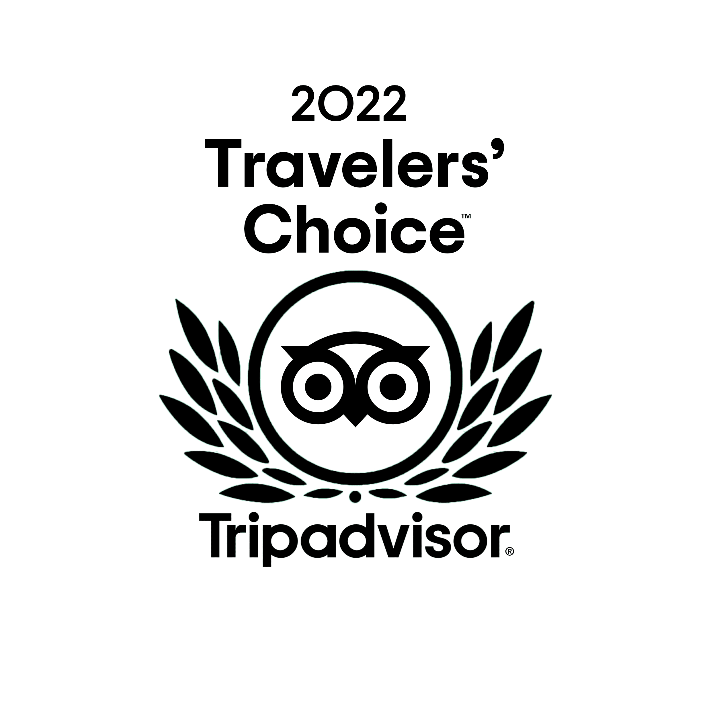 2022 年旅行者的选择