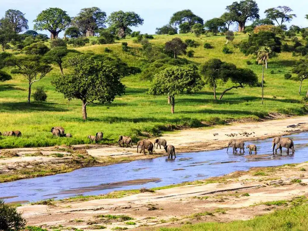 Wanneer is de beste tijd om Tanzania te bezoeken - de tijdloze charme van Tanzania: de beste seizoenen om te bezoeken onthuld