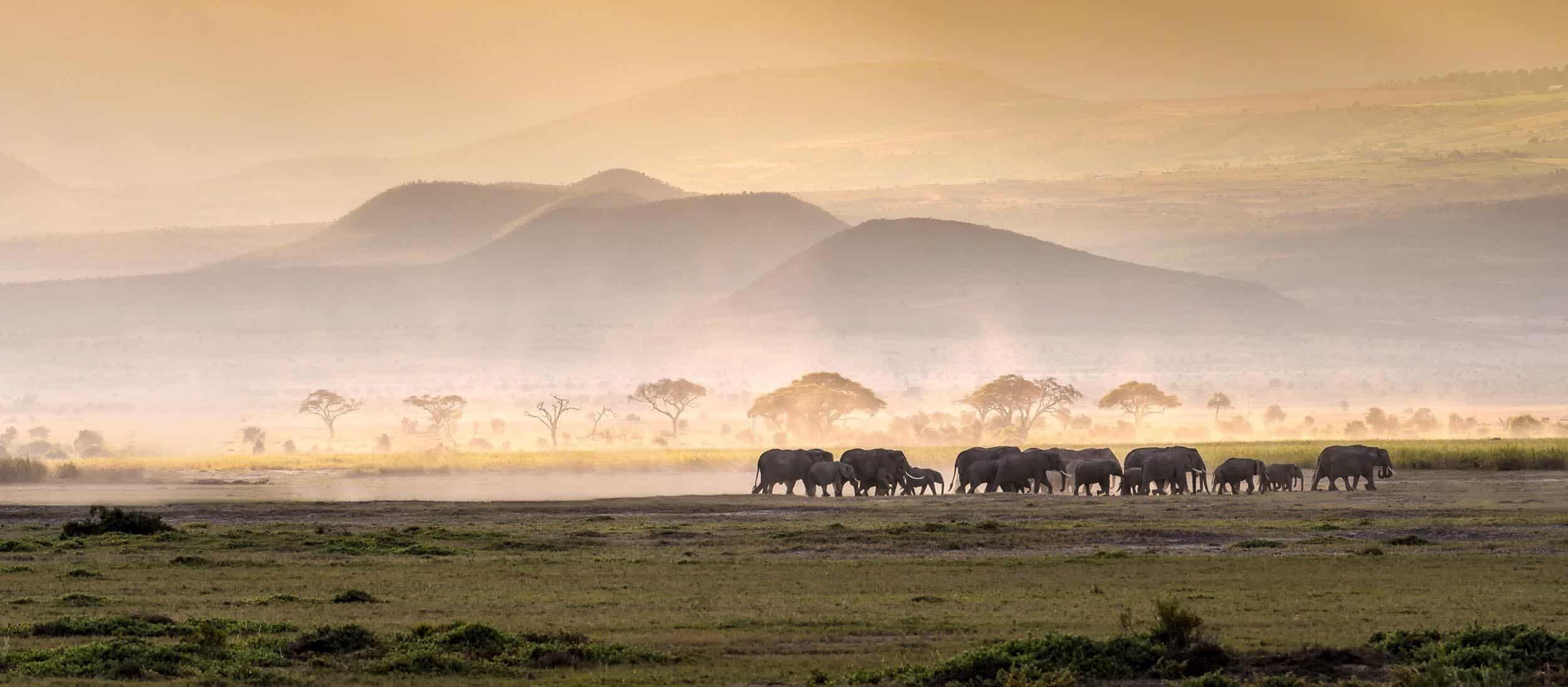 Tanzania safari tours with easy travel