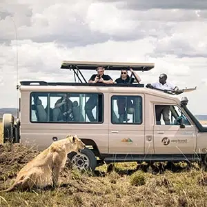 Tanzania - tanzania wildlife encounters 7 july - new home page