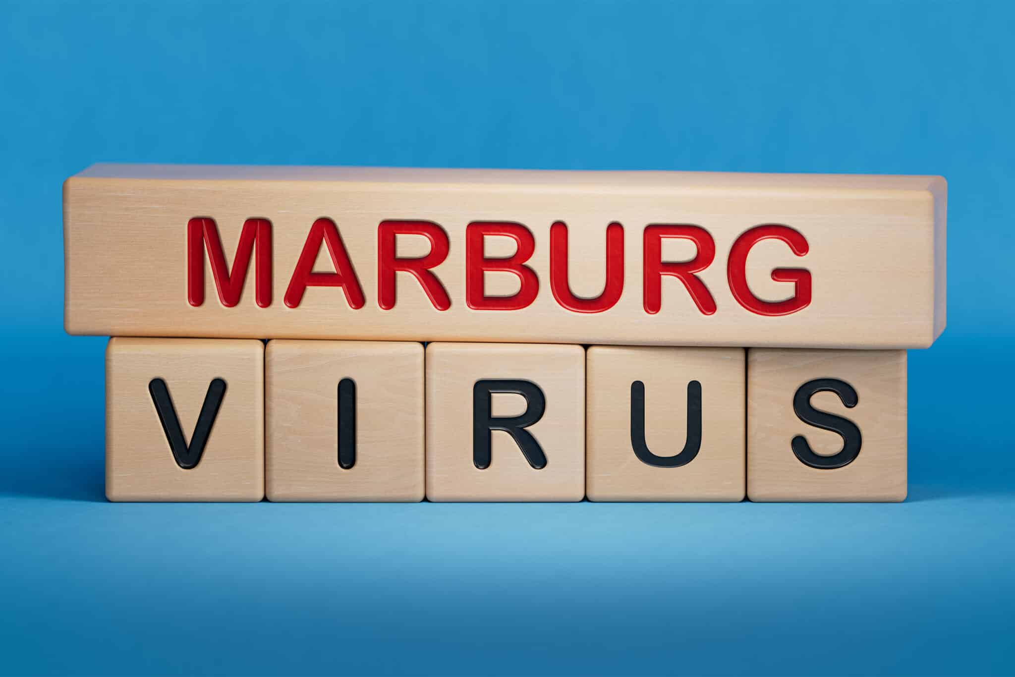 Marburg Virus - Easy Travel Tanzania