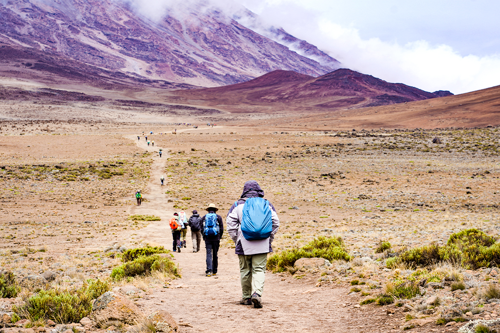 Eine Gruppe von Touristen wandert auf dem Weg zum Kilimandscharo, Tansania