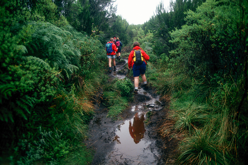 Wandelaars trekken door de regenachtige paden van de Kilimanjaro
