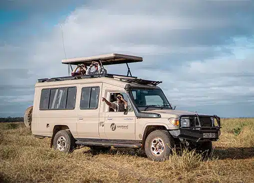 Ein Safarifahrzeug mit geöffnetem Verdeck ermöglicht die Tierbeobachtung in der grasbewachsenen Savanne unter bewölktem Himmel. Touristen beobachten die Tiere mit Ferngläsern.