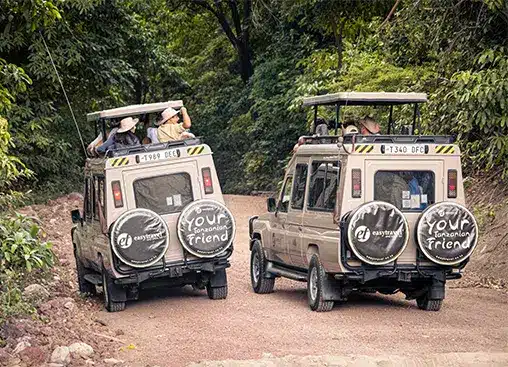 Des jeeps de safari sur un chemin de terre au cœur d'une forêt luxuriante, avec des housses de roue de secours sur lesquelles on peut lire " Votre ami compagnon ».