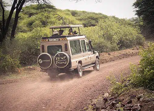 Ein Safari-Jeep fährt auf einer unbefestigten Straße, umgeben von üppigem Grün; auf den Reserveradabdeckungen sind witzige Sprüche zu sehen.