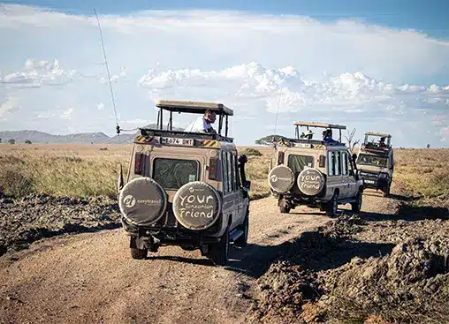Safari-Jeeps fahren auf einer unbefestigten Straße durch eine Savannenlandschaft unter blauem Himmel, während Menschen Wildtiere beobachten.