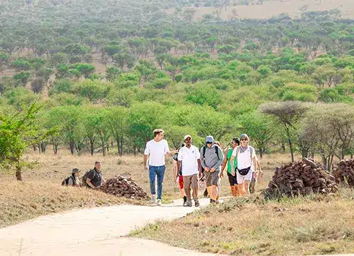Un groupe de randonneurs marche sur un sentier traversant un paysage verdoyant et luxuriant, parsemé d'arbres épars et de collines au loin.