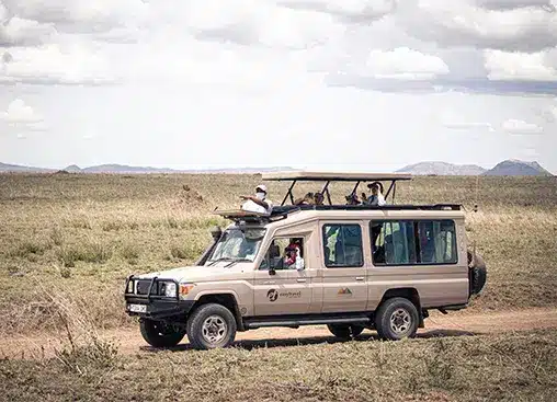 一辆载着游客的越野车在阴云密布的草原上进行野生动物之旅。.