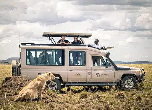 I turisti del safari a bordo di una jeep osservano una leonessa nella prateria sotto un cielo nuvoloso.